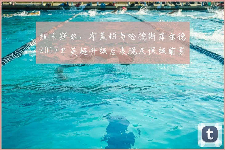 纽卡斯尔、布莱顿与哈德斯菲尔德2017年英超升级后表现及保级前景