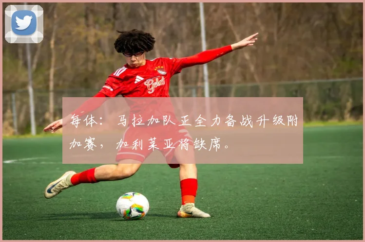 每体:马拉加队正全力备战升级附加赛,加利莱亚将缺席。