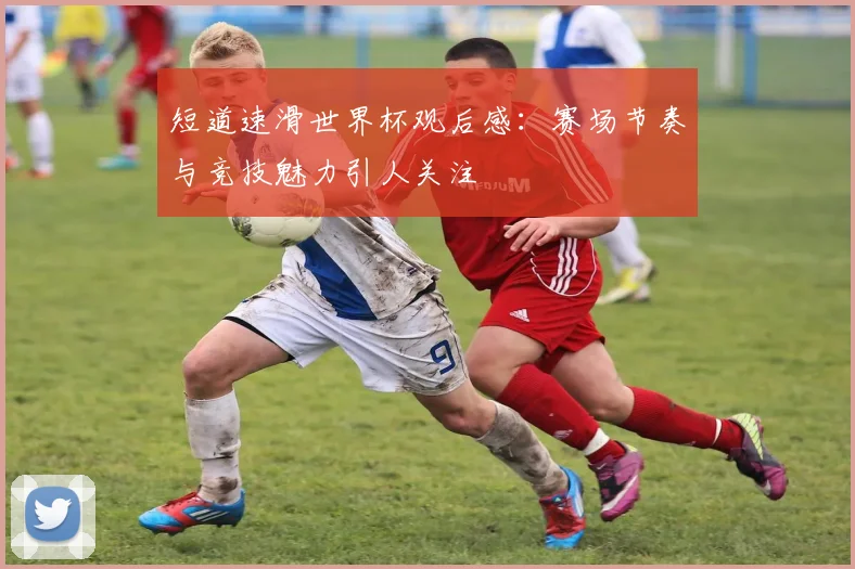 短道速滑世界杯观后感:赛场节奏与竞技魅力引人关注