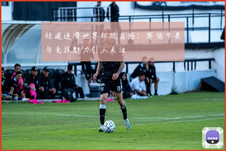 短道速滑世界杯观后感:赛场节奏与竞技魅力引人关注
